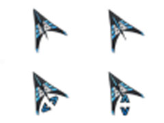 ָ