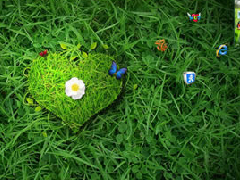 ̲ݵwin7