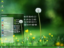 暗恋,电脑桌面主题 win7主题 xp主题下载