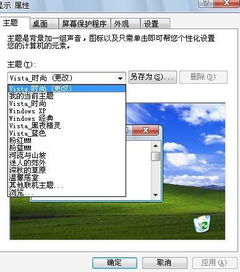 电脑主题问题谁会