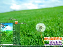 清晰大图,图酷,组图 打造你的专属电脑主题