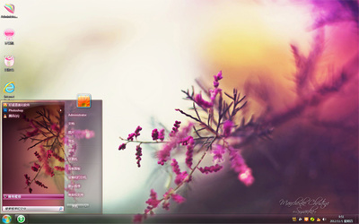 花的梦境 免费Win7电脑主题,为桌面注入自然清新气息